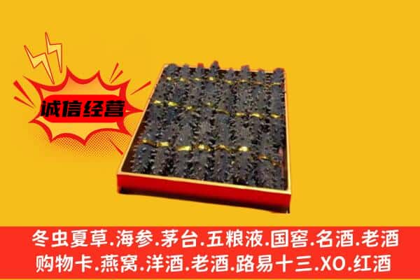 温州市龙港回收海参